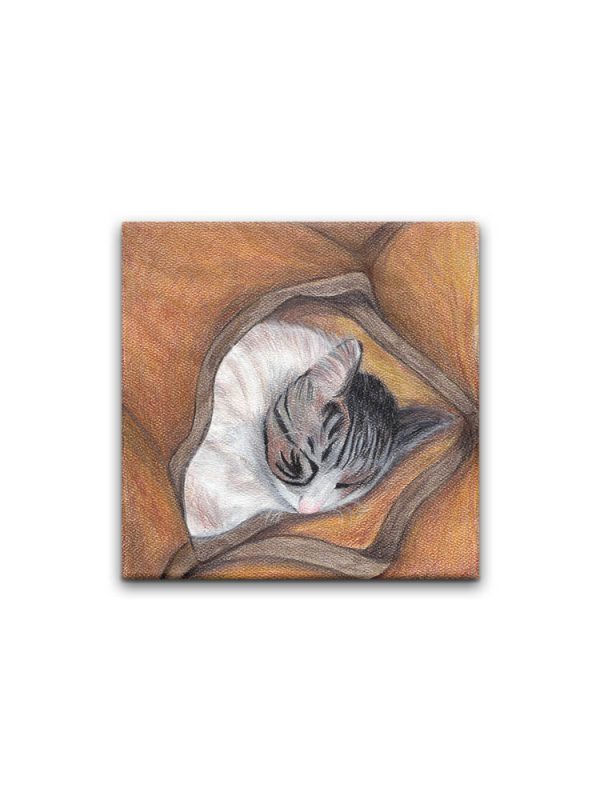 Sleeping Cats - Set of 4 Coasters For Cheap