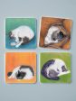 Sleeping Cats - Set of 4 Coasters For Cheap