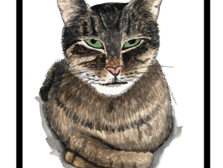 Judgmental Cat - Poster Online now