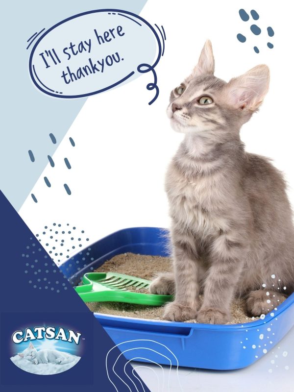 Catsan Hygiene Plus by Whiskas Natural Cat Litter 5L For Cheap