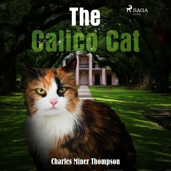 Calico Cat, The Cheap